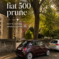 Intérieur stylisé d'une Fiat 500, démontre l'art de la personnalisation.