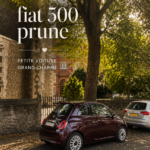 Intérieur stylisé d'une Fiat 500, démontre l'art de la personnalisation.
