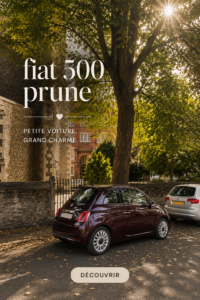 Intérieur stylisé d'une Fiat 500, démontre l'art de la personnalisation.