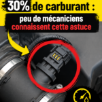 Voiture en mouvement avec une route verdoyante, symbole d'économie de carburant.