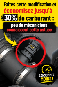 Voiture en mouvement avec une route verdoyante, symbole d'économie de carburant.