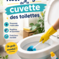 Femme nettoyant une cuvette de toilettes avec des produits écologiques.