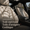 Autocollant araignée gothique appliqué sur un toit de voiture, créant un effet d'ombre esthétique.