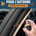 Voiture préparée pour l'automne, avec des feuilles colorées autour