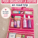 Intérieur d'une voiture bien organisée avec accessoires de rangement pratiques.