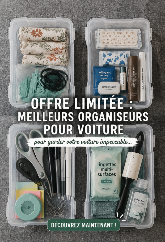 Organiseur de voiture pratique et élégant pour un intérieur bien rangé
