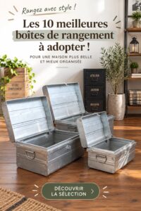 Intérieur moderne avec des boxes de rangement élégantes sur des étagères