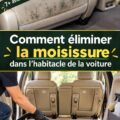 Intérieur d'une voiture avec des signes de moisissure sur les sièges