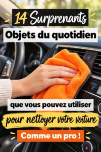 Une image montrant divers objets ménagers utilisés pour nettoyer une voiture