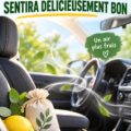 Une voiture propre et odorante grâce à des astuces simples