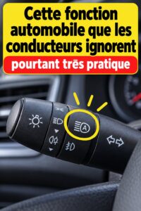 Intérieur d'une voiture avec un accessoire de rangement pratique et utile.