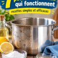 Un ensemble de produits naturels pour polir l'aluminium à la maison.