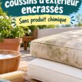 Coussins d'extérieur propres et colorés sur une terrasse ensoleillée.
