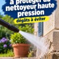 Une vue d'un jardin avec différentes surfaces à protéger des nettoyeurs haute pression.