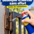 Bouteille de WD-40 à côté d'objets débloqués dans la maison